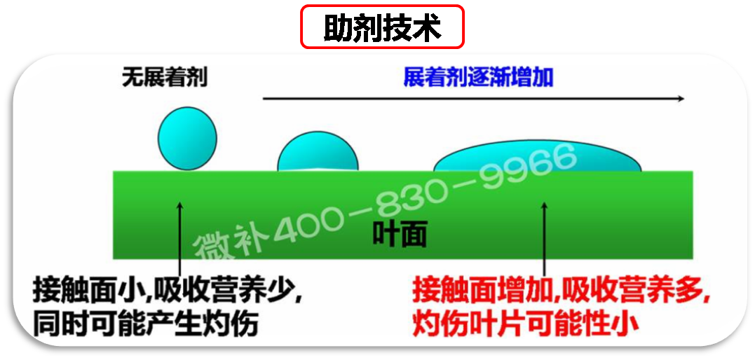 余教授德國鄉村行：我在德國為什么不會(huì )點(diǎn)啤酒了？