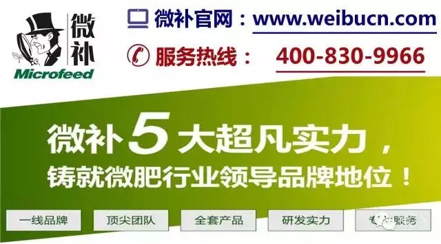 余教授奧地利維也納行：不懂音樂(lè )的農民教授，在音樂(lè )之都的感受