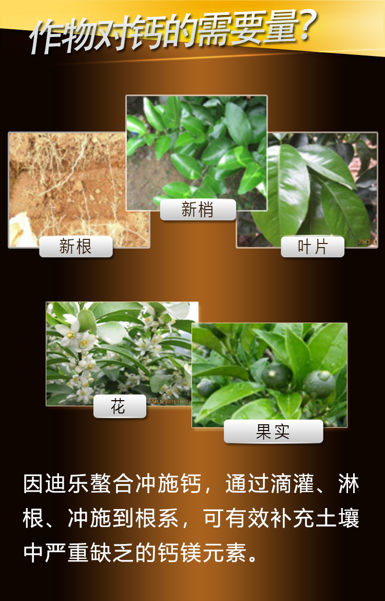 14因迪樂(lè )螯合沖施鈣【手機版】_04.jpg