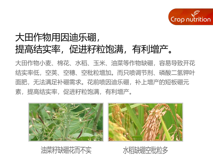 因迪樂(lè )有機海藻硼_05.jpg
