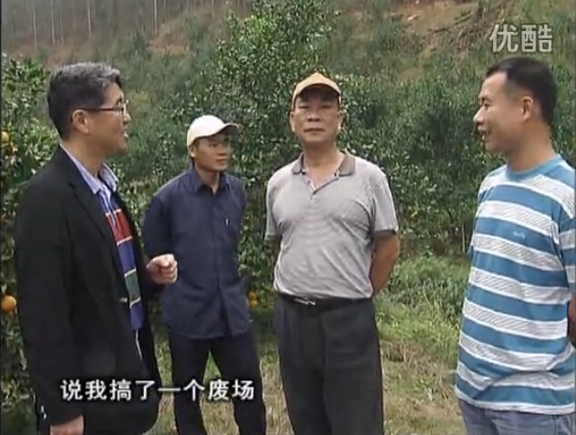 20160118珠江臺搖錢(qián)樹(shù)：貢柑用微補全年營(yíng)養方案，黃樹(shù)翻身還高產(chǎn)增果