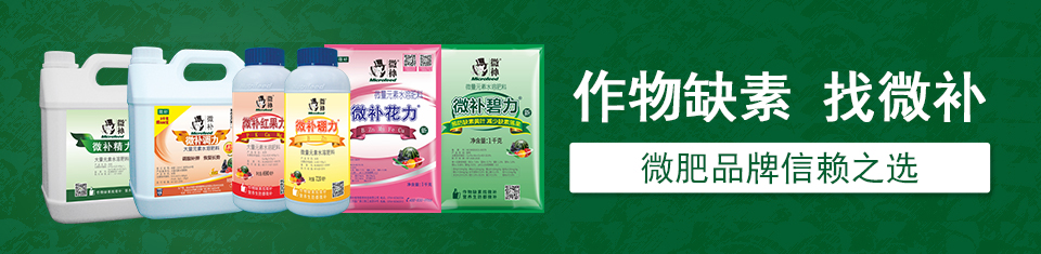 微肥廠(chǎng)家
